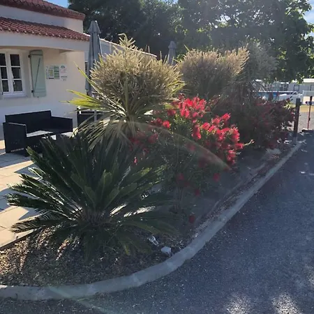 Camping Du Val De Vie Camping